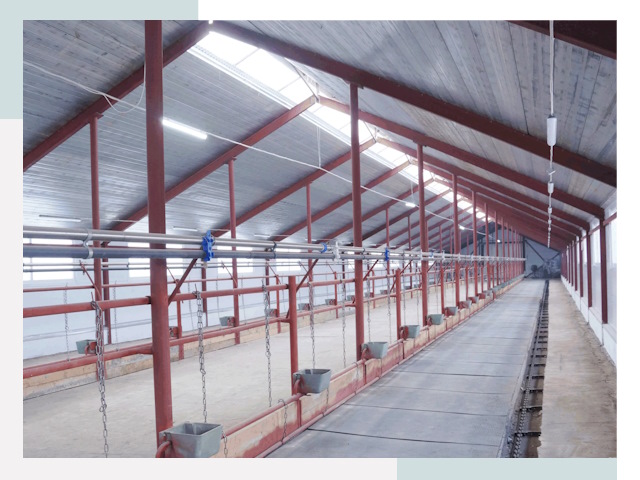 Строительство коровников в Шатуре от 615 руб.