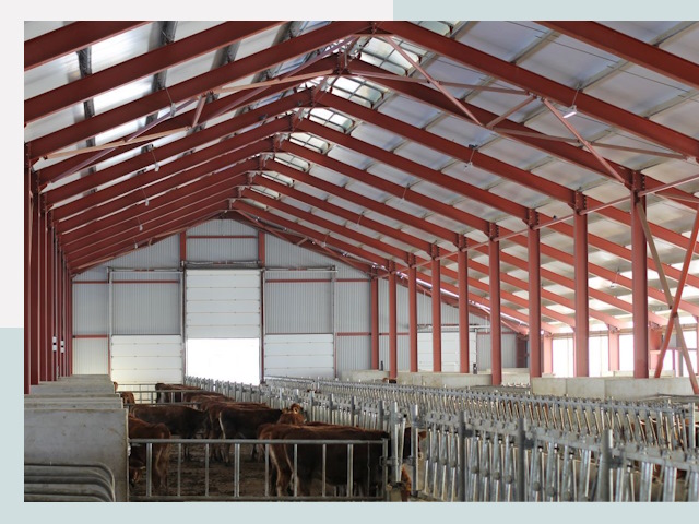 Строительство коровников в Шатуре