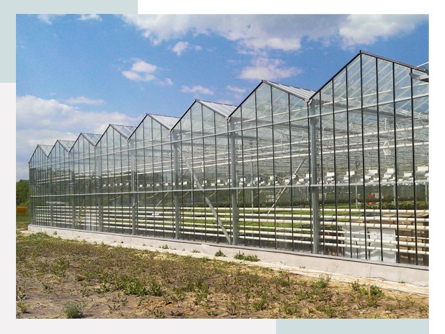 Строительство теплиц в Шатура от 615 руб. за м²